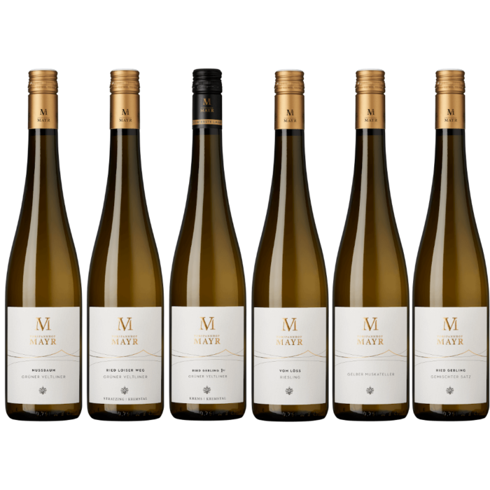 Sechs Flaschen Wein